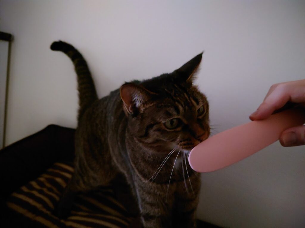 オーバーのアイテム取扱 猫ブラシ マッサージ ねこじゃすり Www Anavara Com