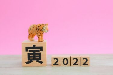 2022年は猫も飼い主も健康で穏やかな１年に！